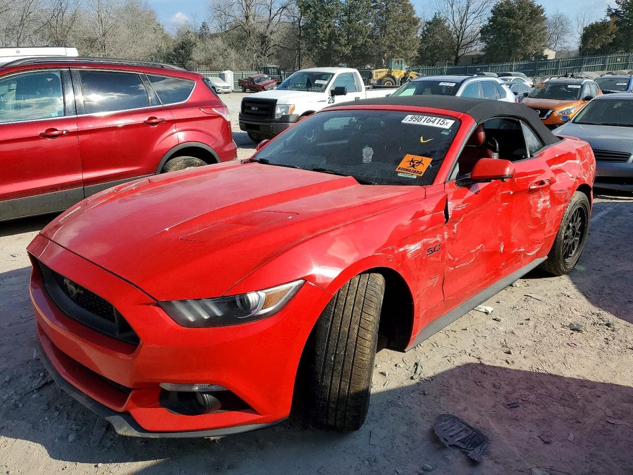 MUSTANG