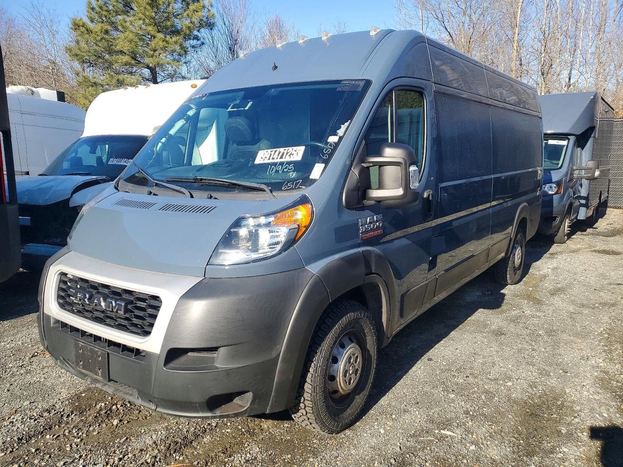 PROMASTER