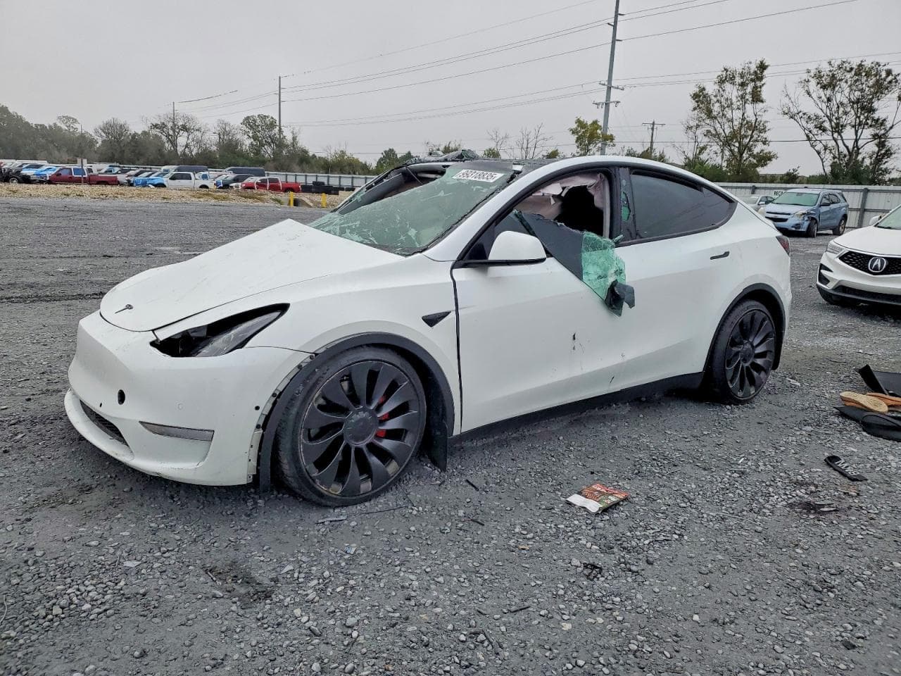 MODEL Y