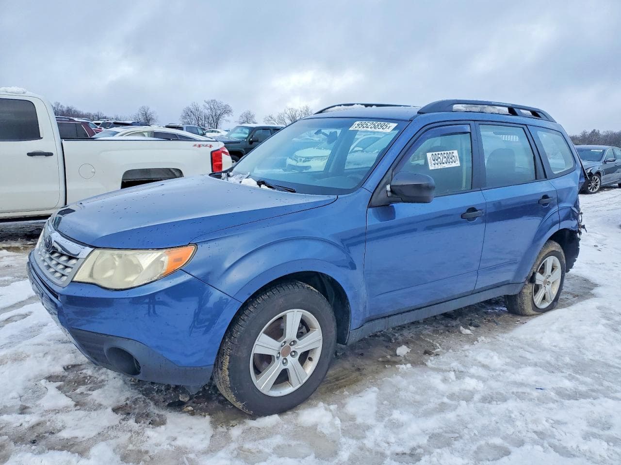 FORESTER