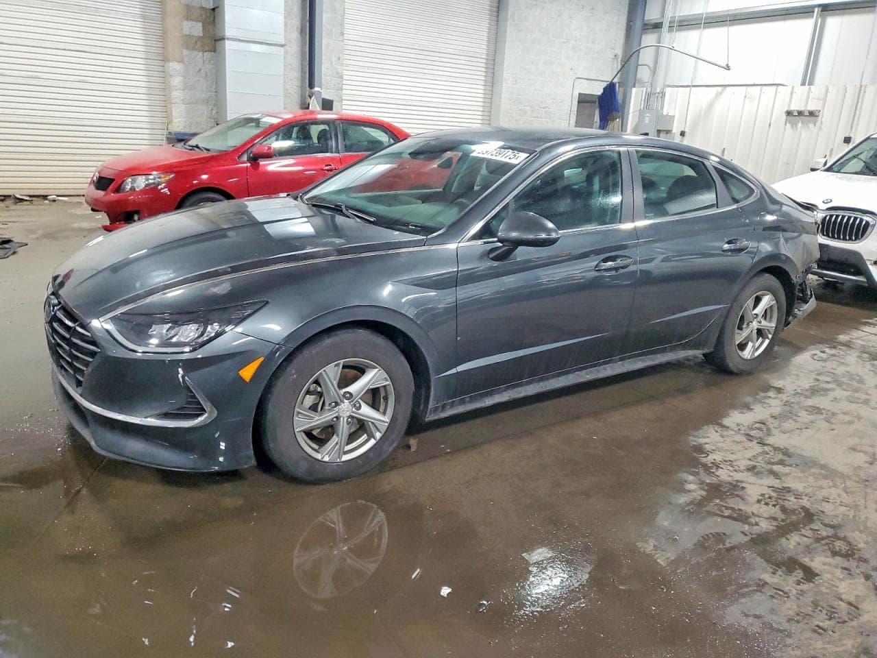 SONATA
