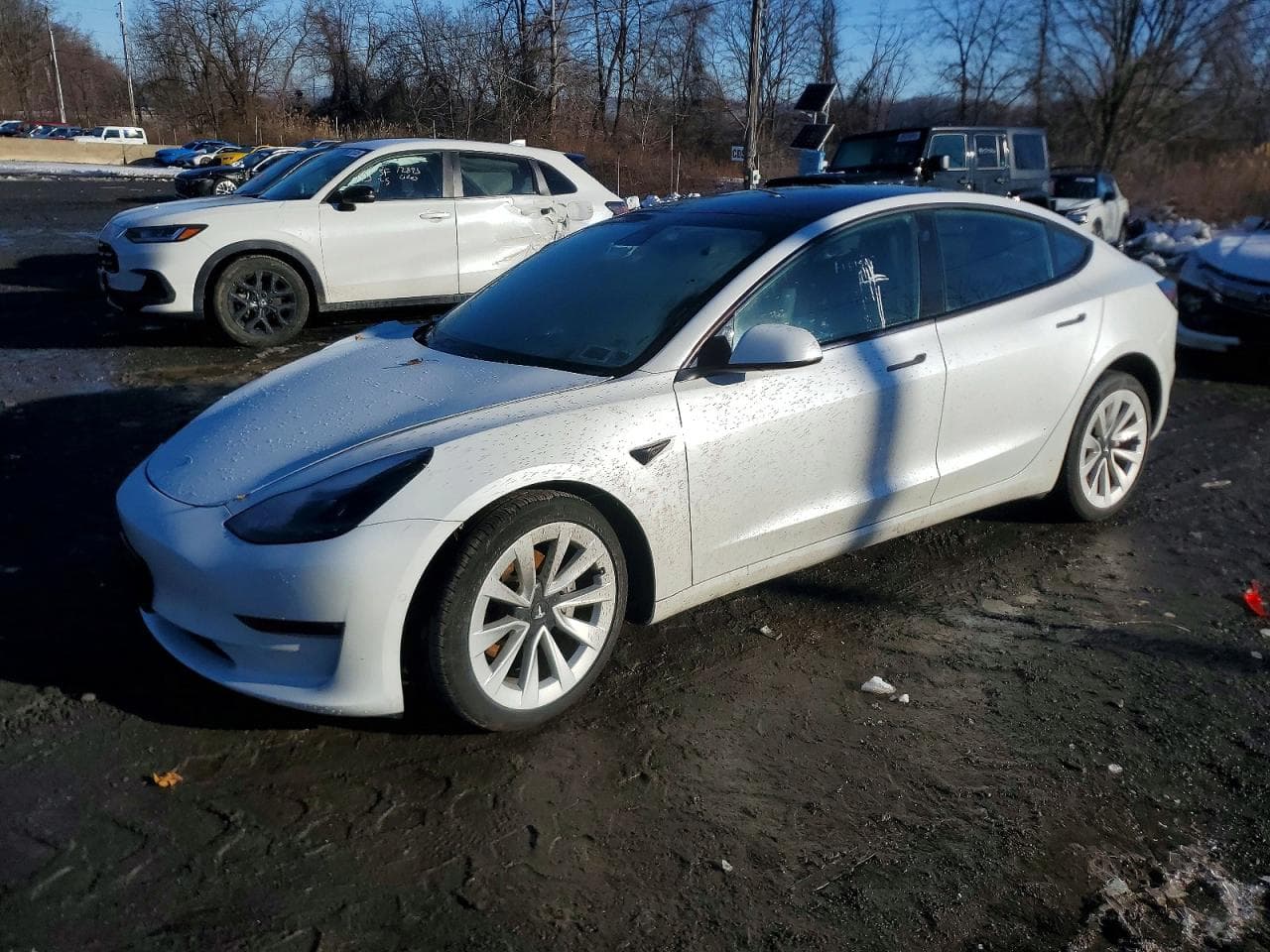 MODEL 3