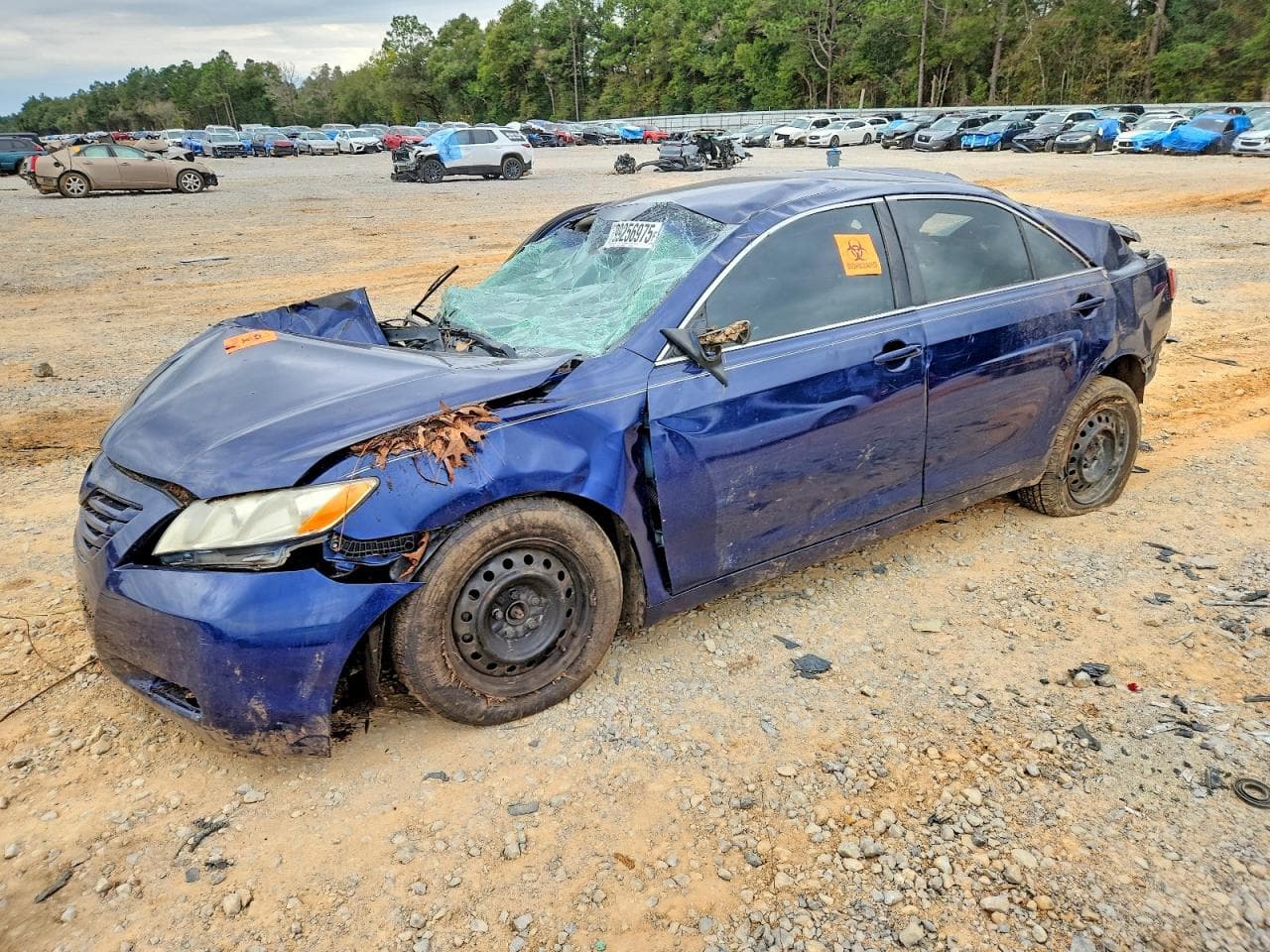 CAMRY