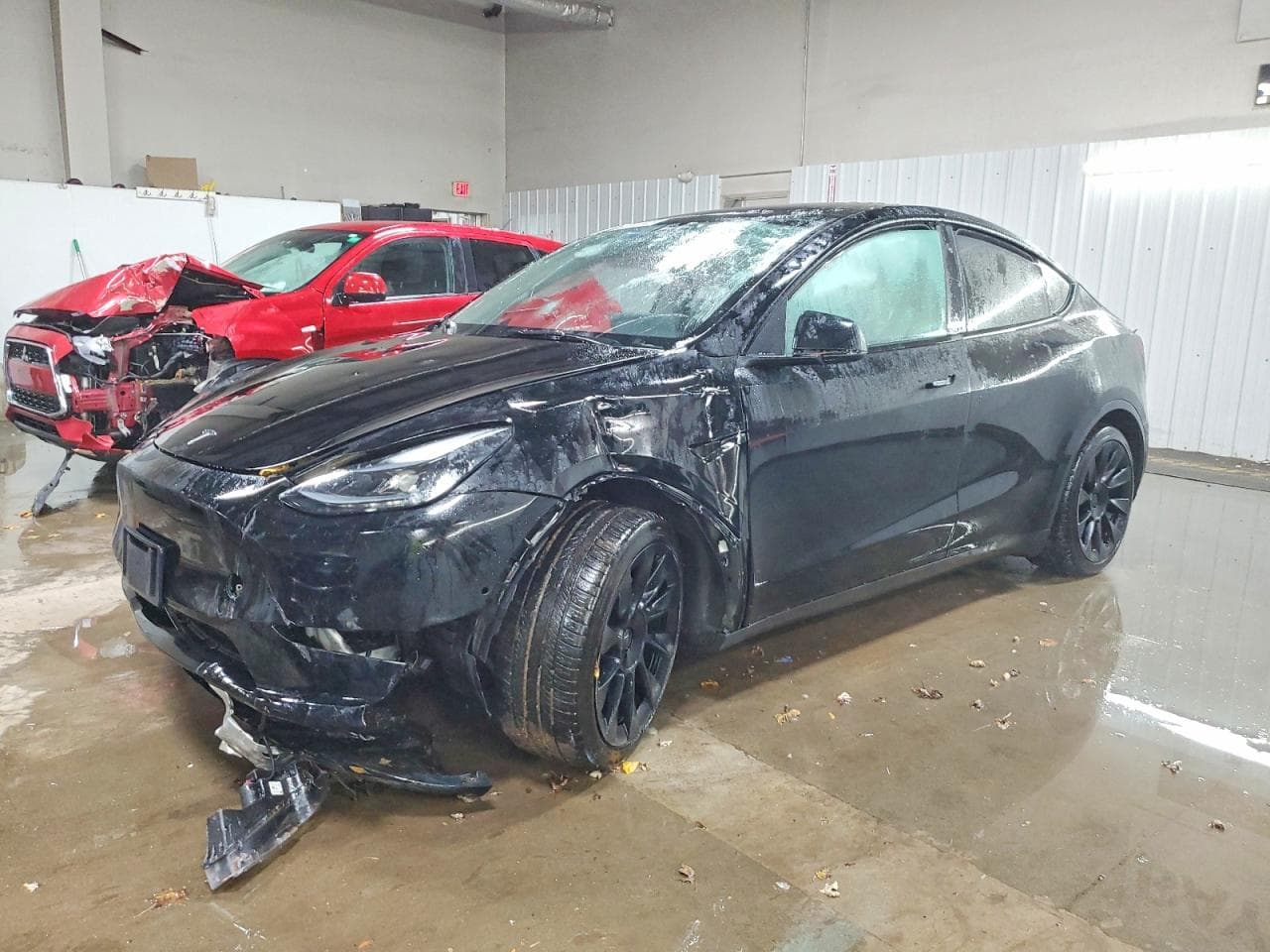 MODEL Y