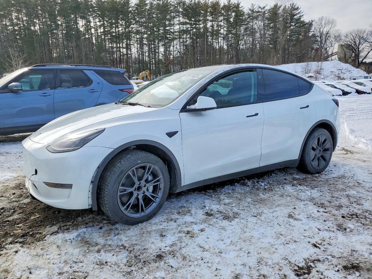MODEL Y