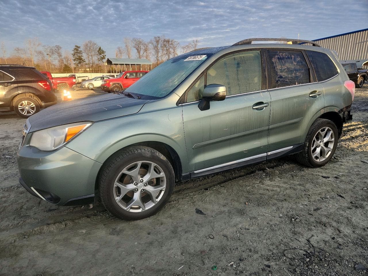 FORESTER