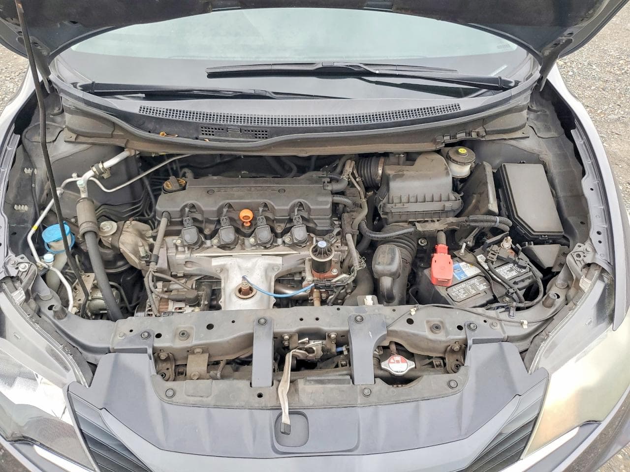 Foto 11