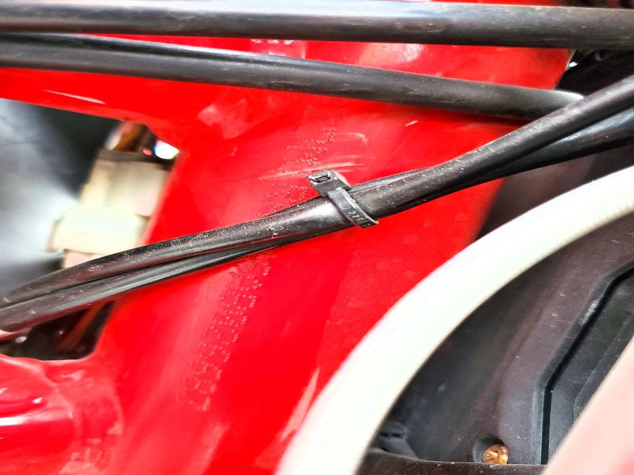 Foto 9