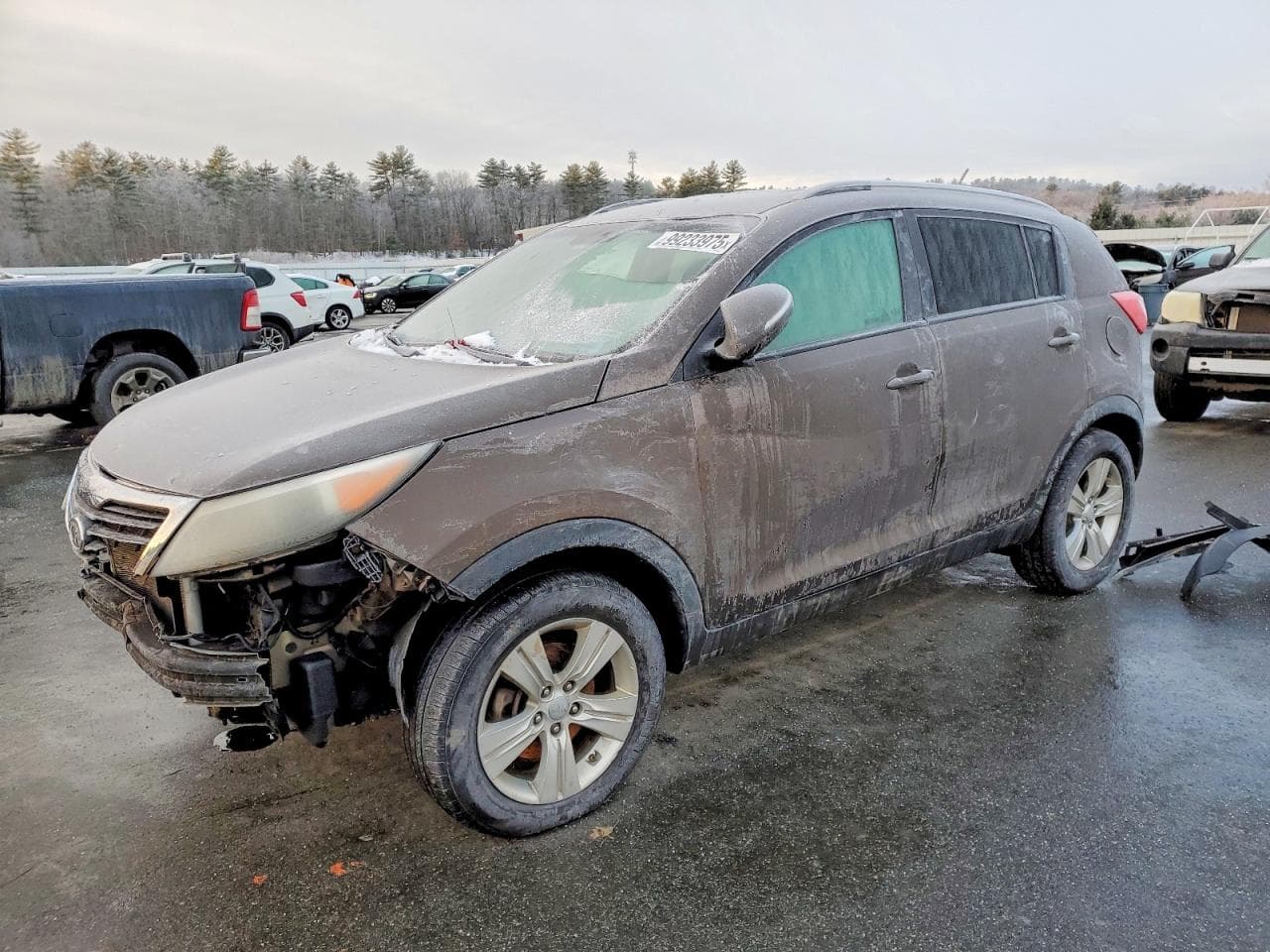 SPORTAGE