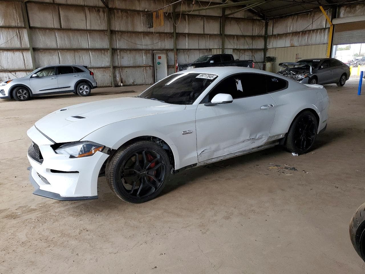 MUSTANG