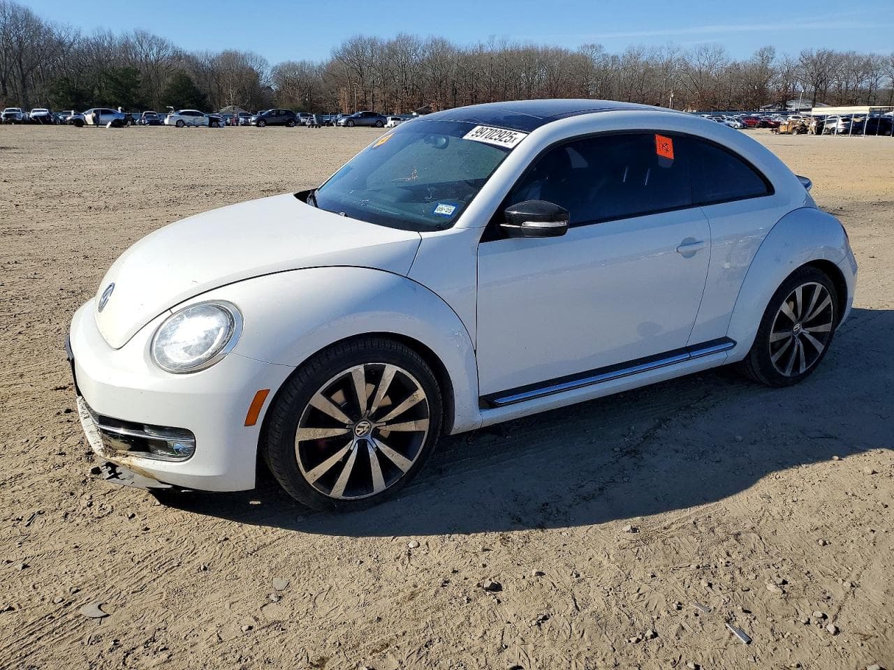 BEETLE