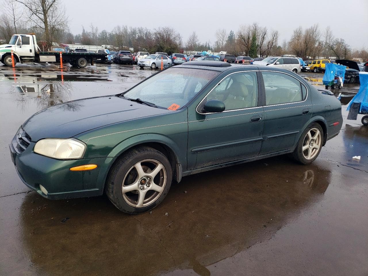 MAXIMA