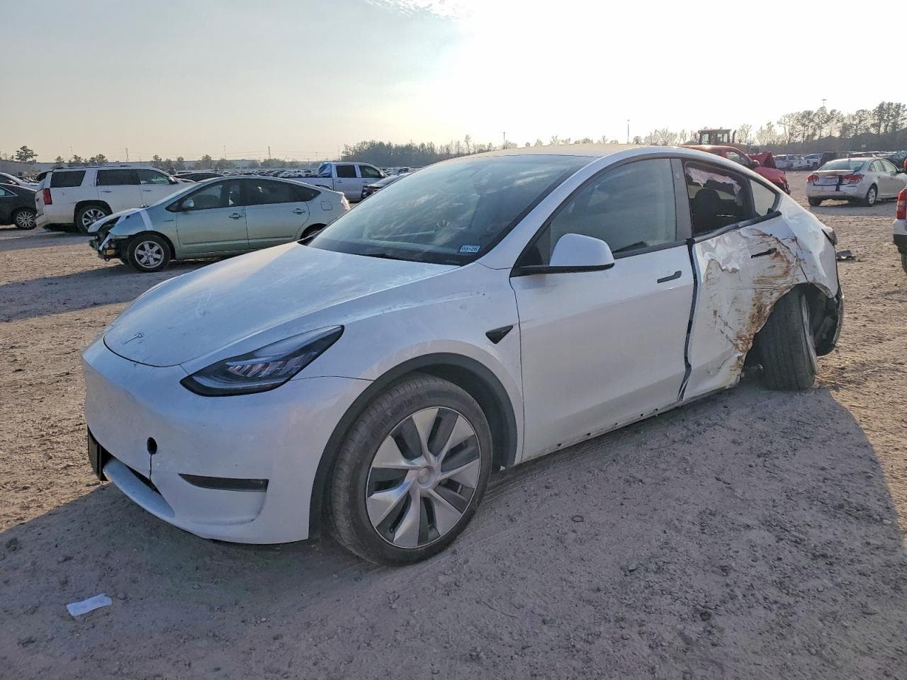 MODEL Y