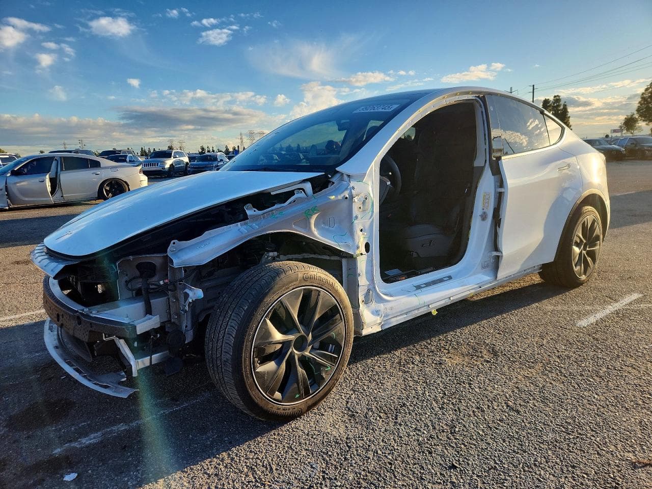 MODEL Y