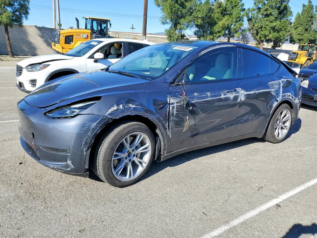 MODEL Y