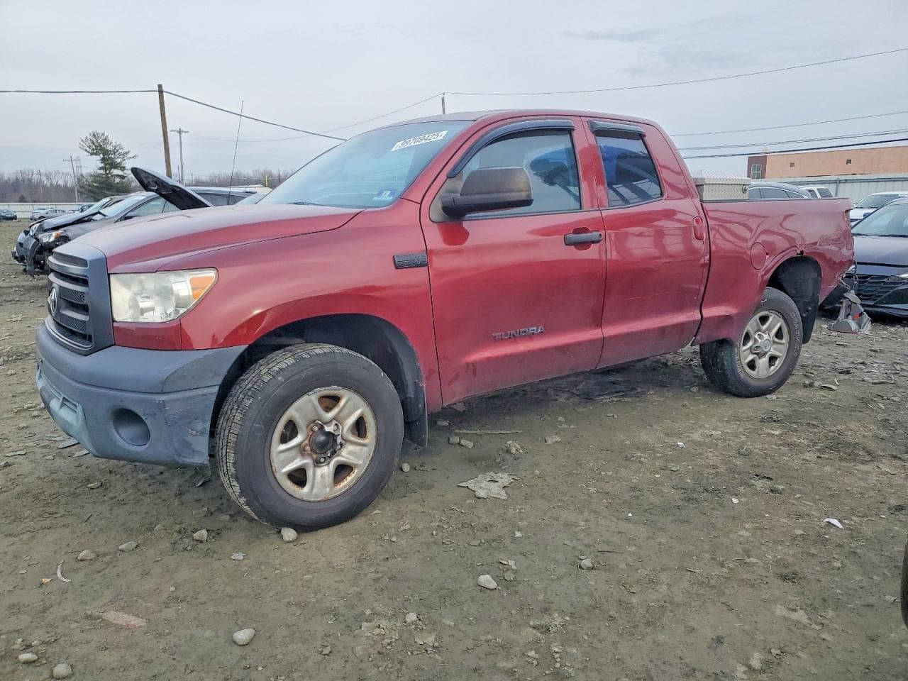 TUNDRA