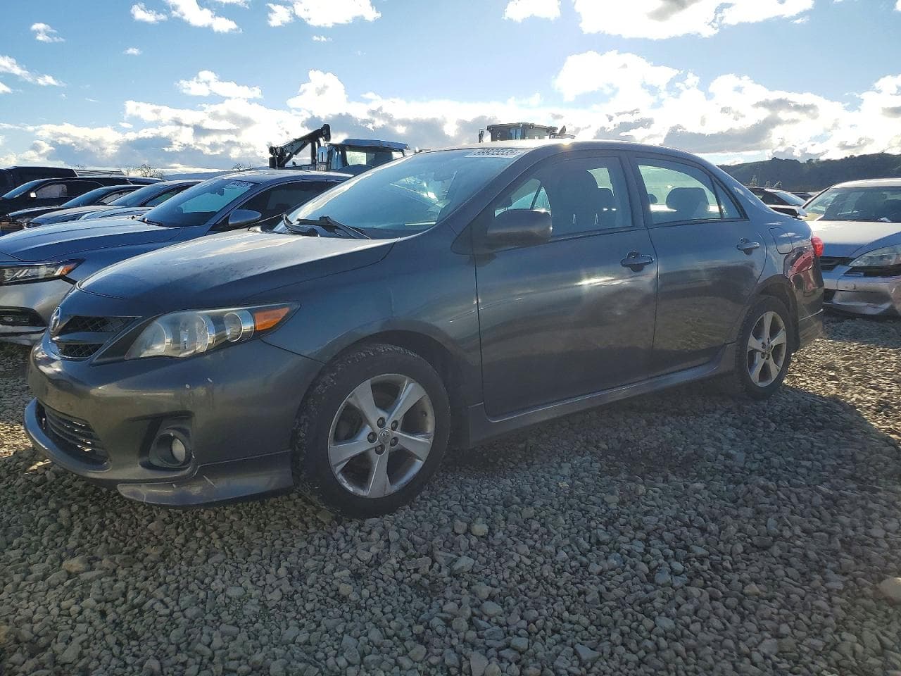 COROLLA