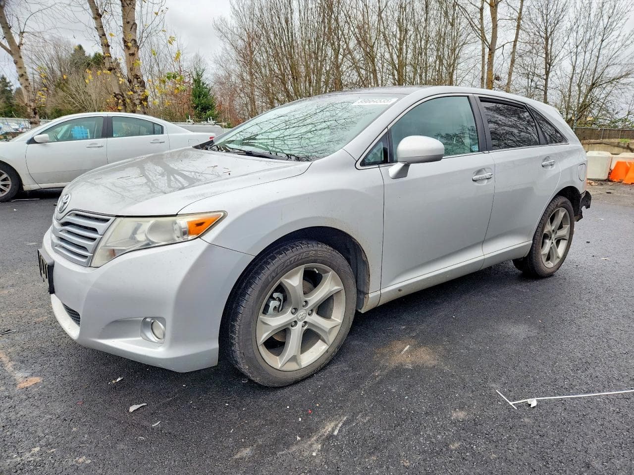 VENZA