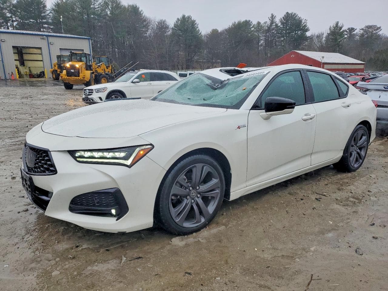TLX