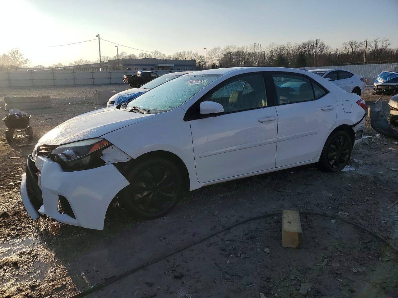 COROLLA