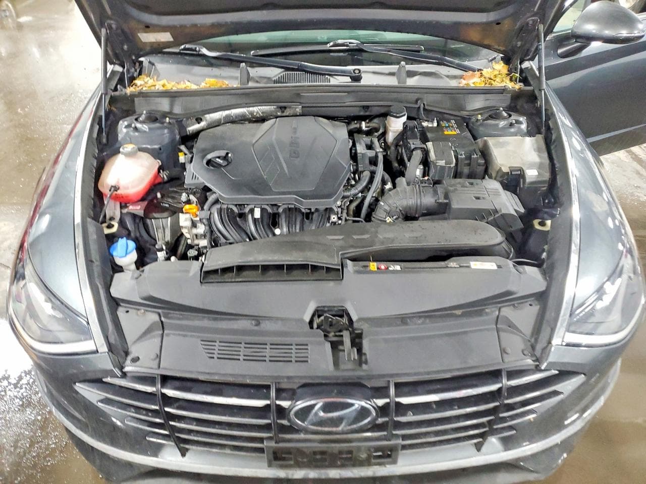 Foto 11
