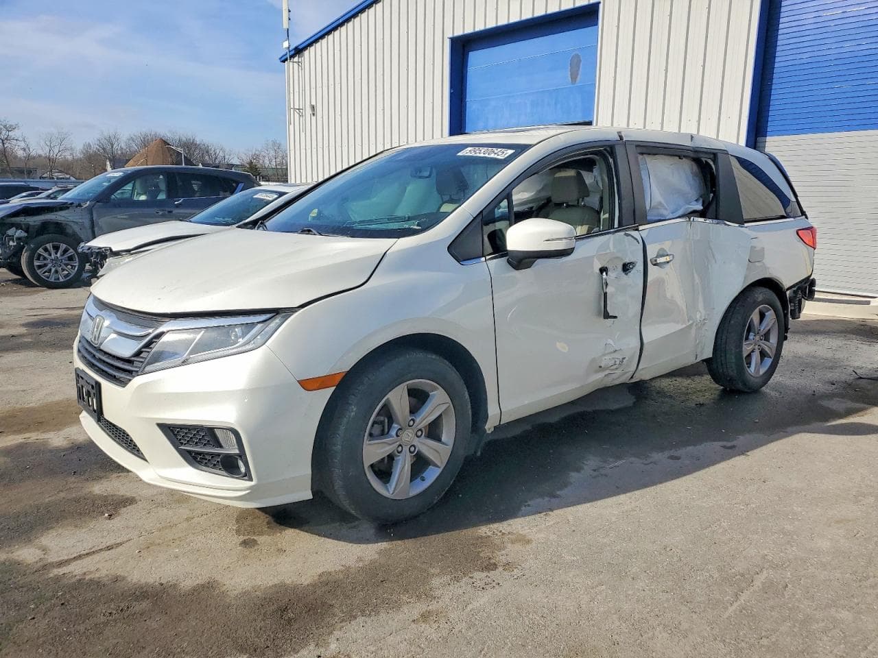 ODYSSEY EX