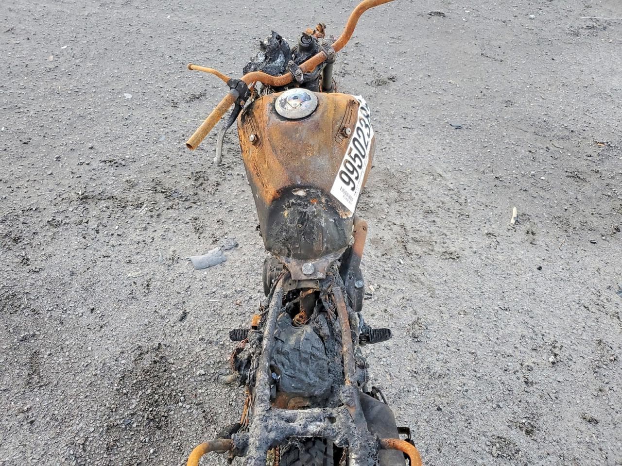 Foto 6