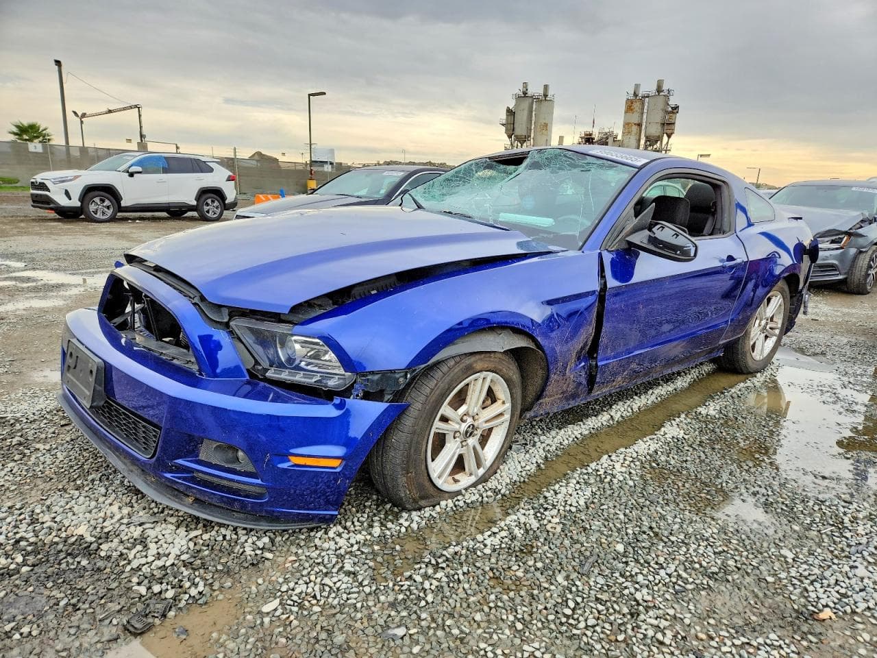 MUSTANG