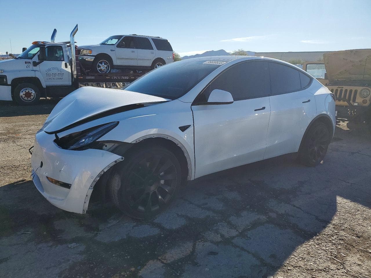 MODEL Y