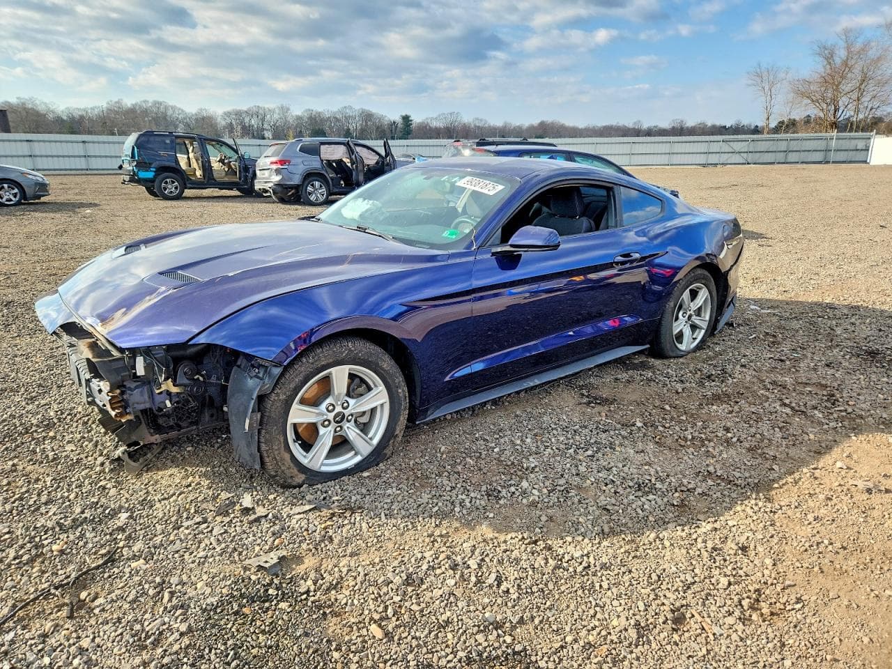 MUSTANG