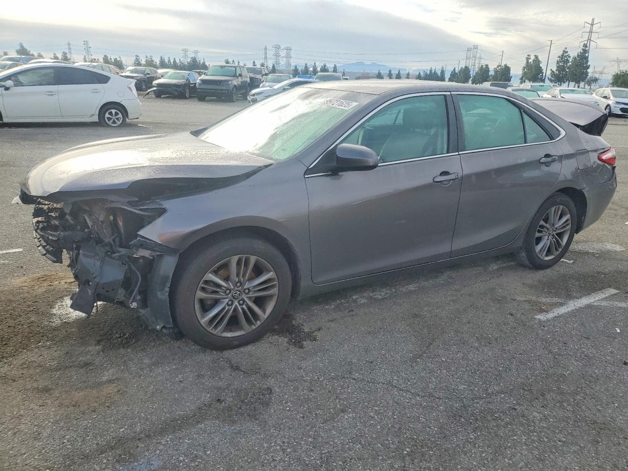 CAMRY