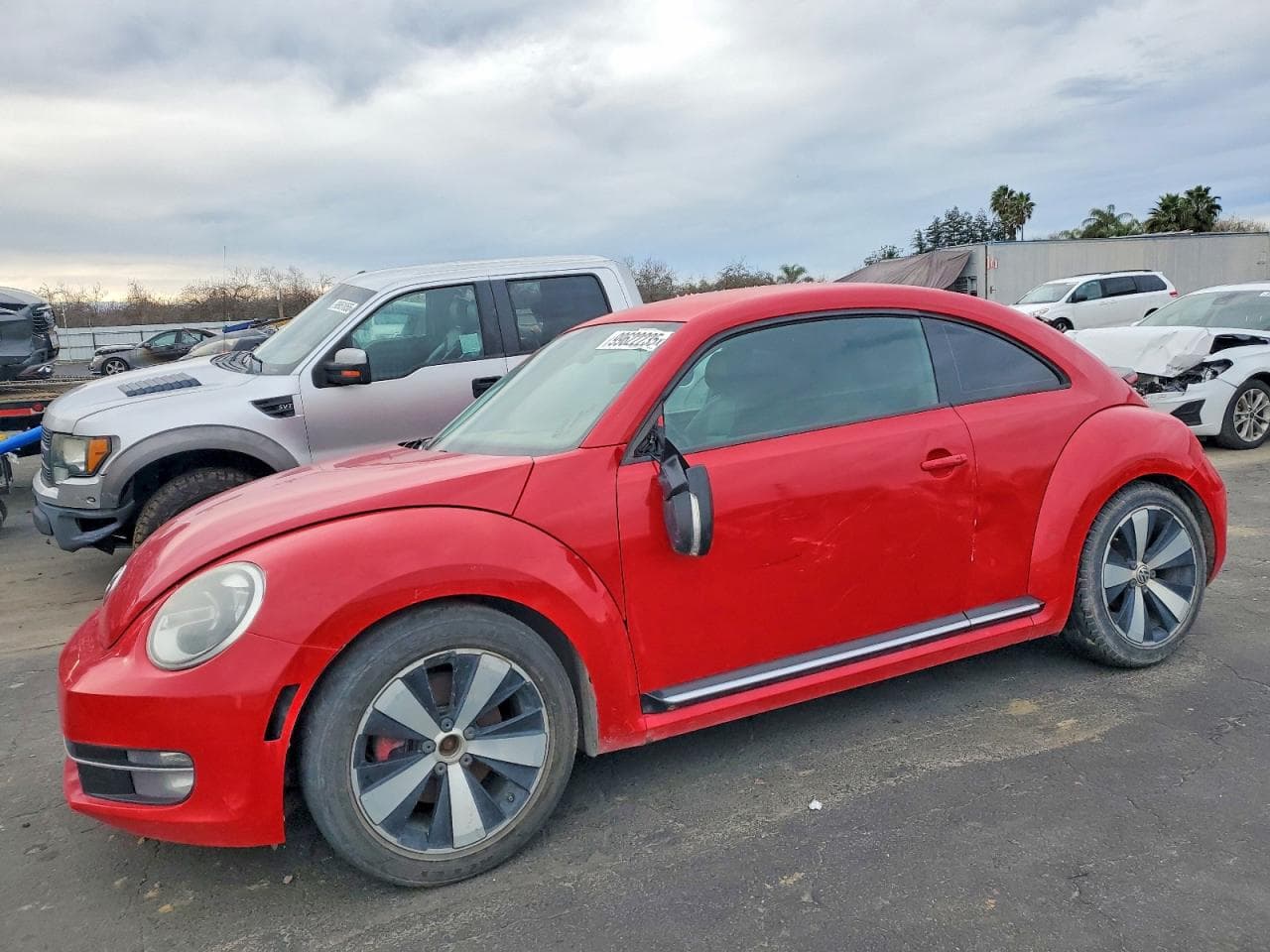 BEETLE