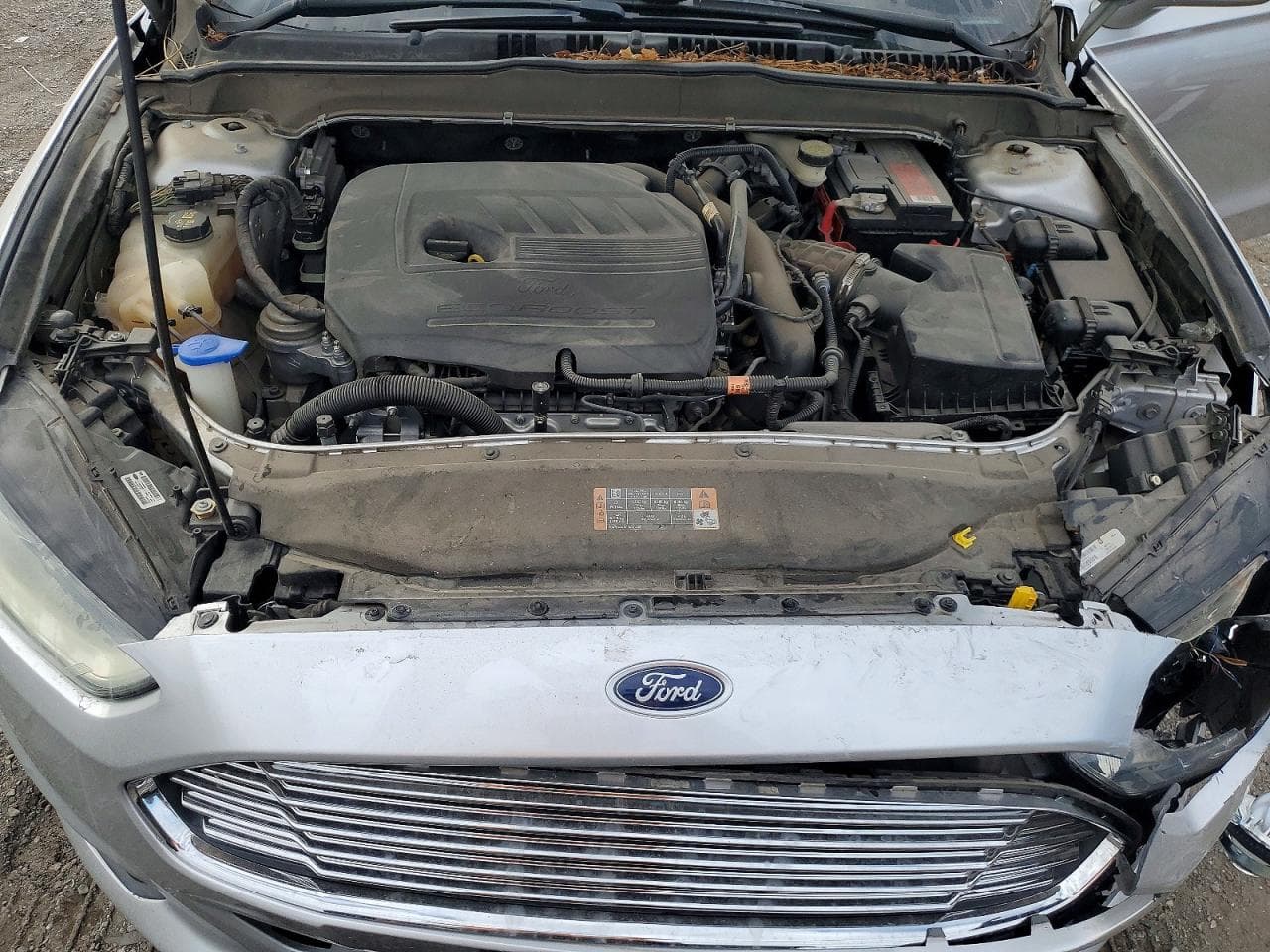 Foto 11