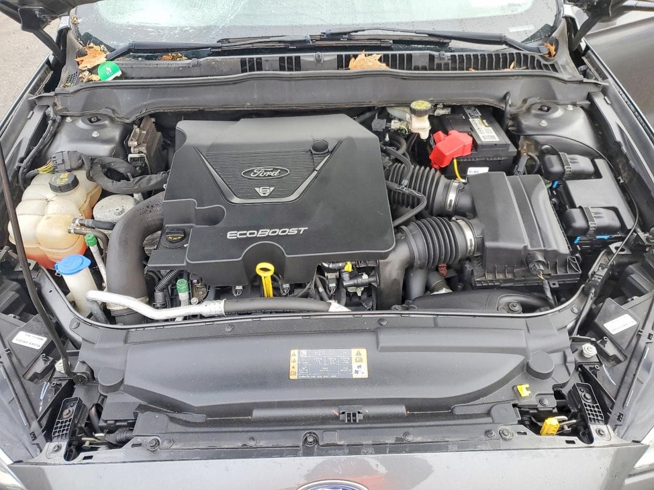 Foto 11