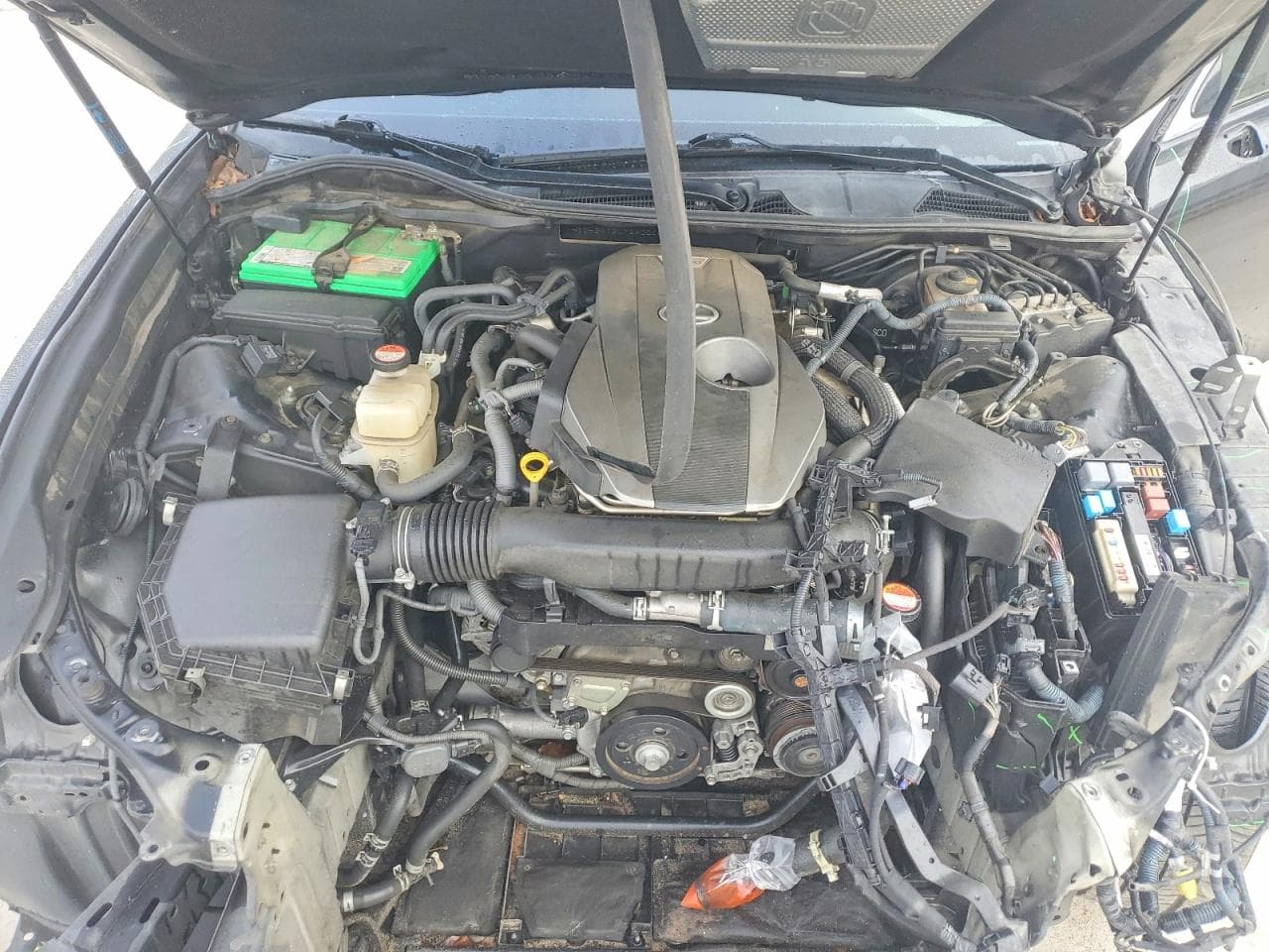Foto 11