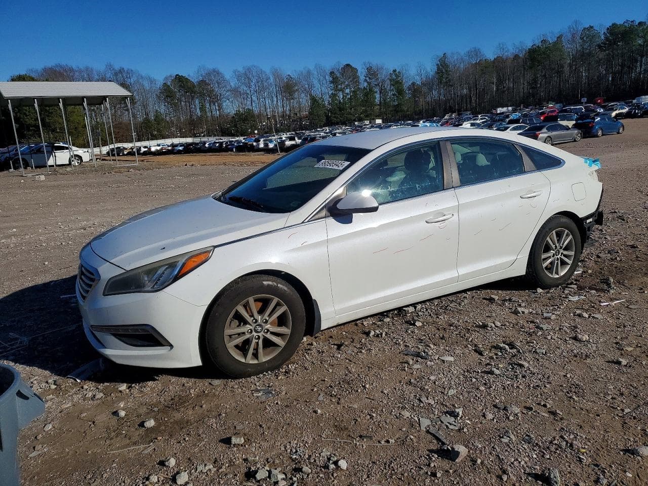 SONATA