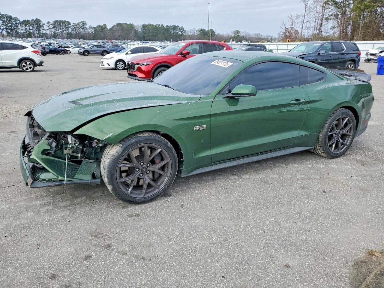 MUSTANG