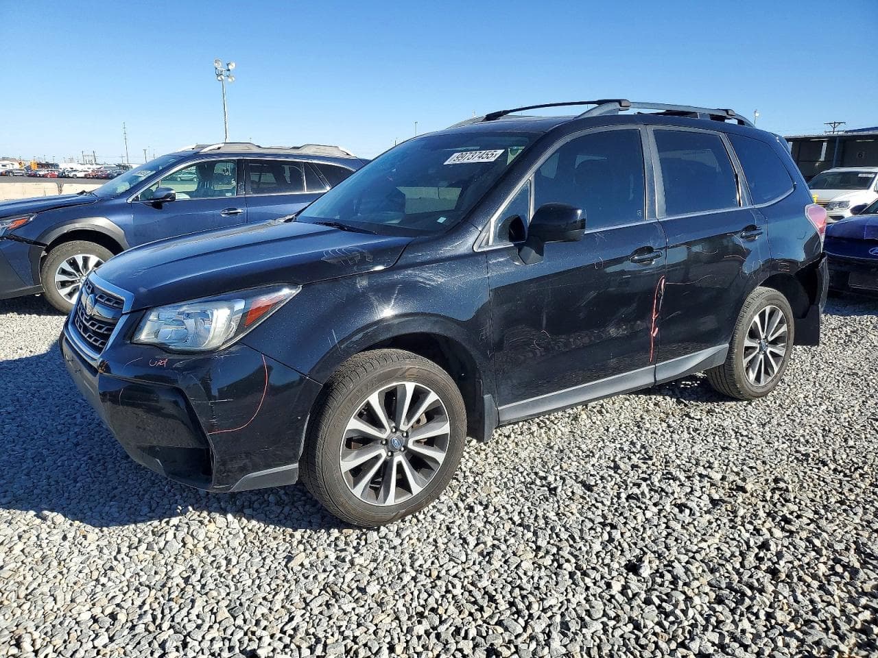 FORESTER