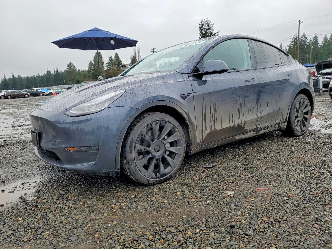 MODEL Y