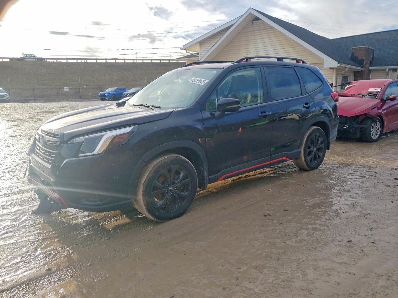 FORESTER