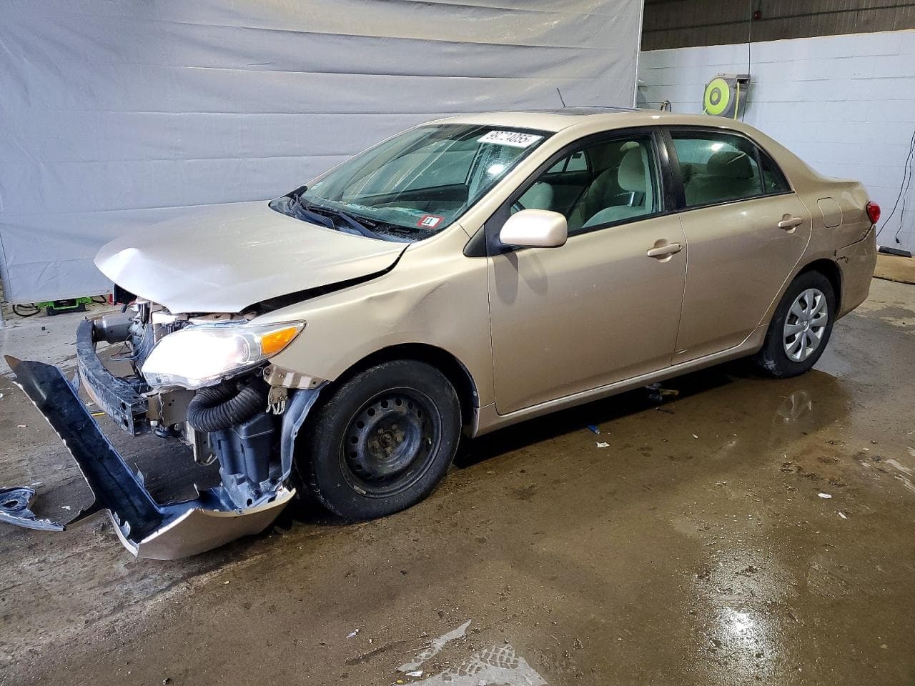 COROLLA