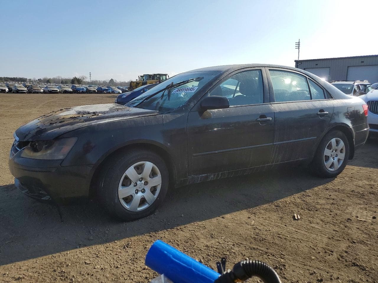 SONATA