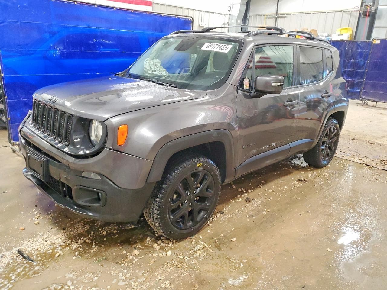RENEGADE