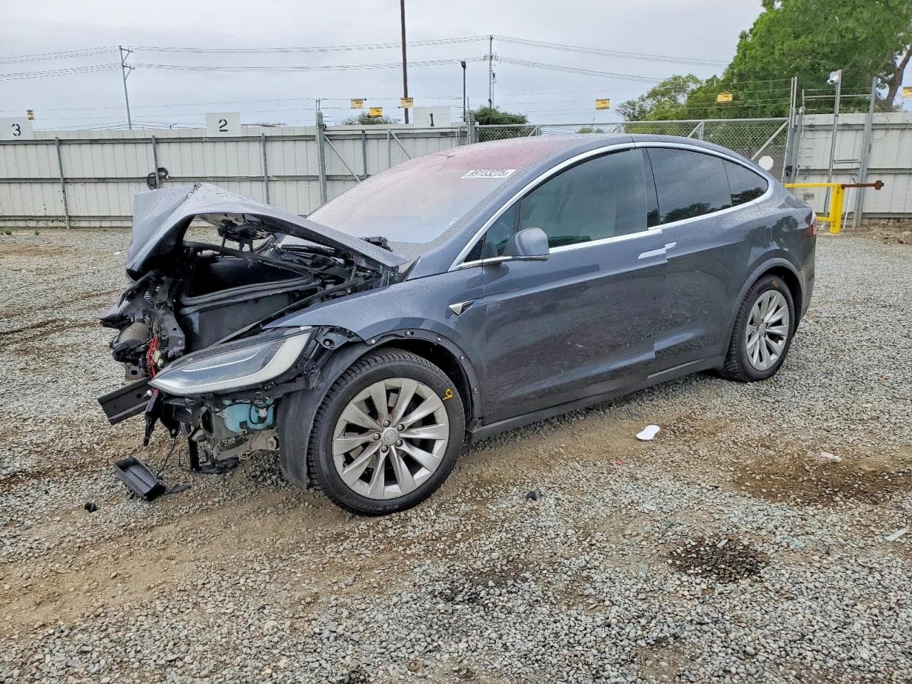 MODEL X