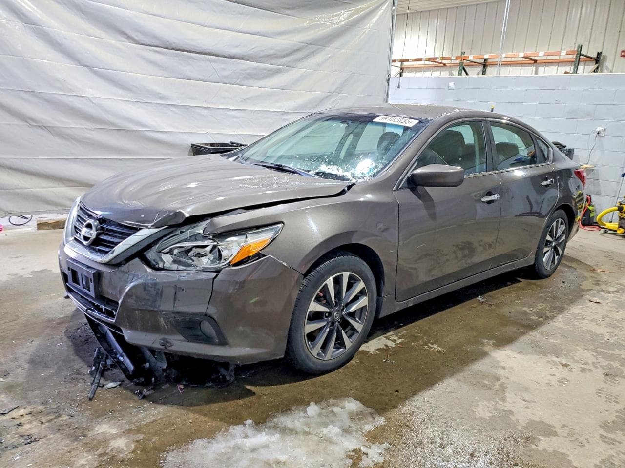 ALTIMA