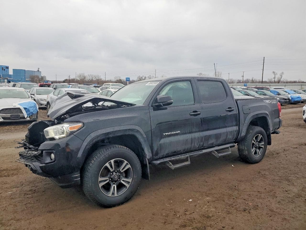 TACOMA