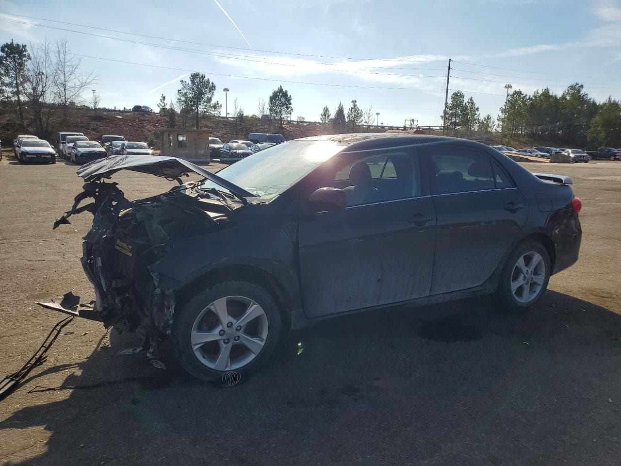COROLLA