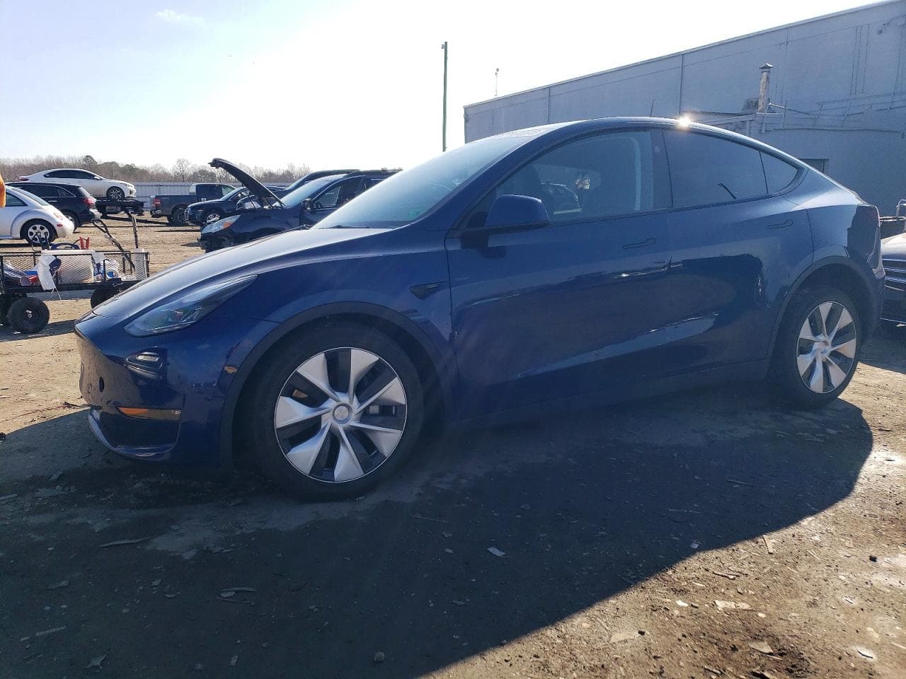 MODEL Y