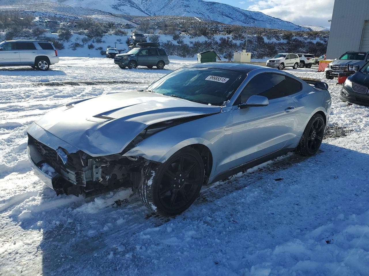 MUSTANG