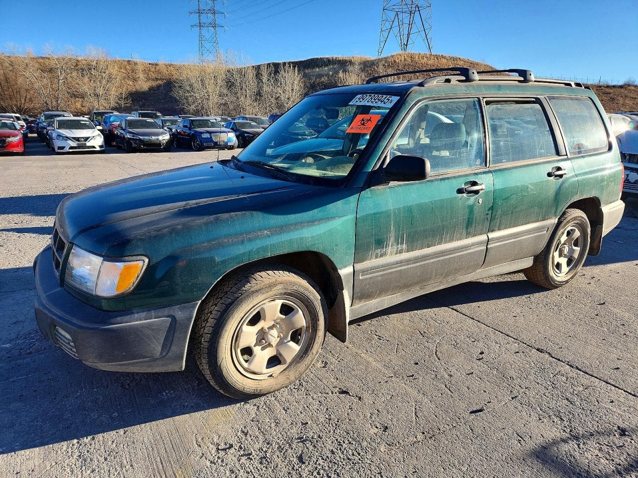 FORESTER